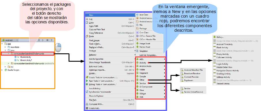 Activity: Creación Y Ciclo De Vida