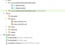 Proyecto Con Android Studio: Creación De Activities Y Comunicación Con Intent