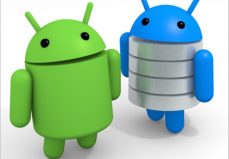 SQLite En Android: Creación Y Acceso Base De Datos E Inserción De Registros