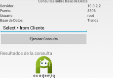 Pantalla Aplicación Android: Ejecutar Consulta SQL